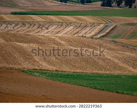 Arable farming and midsummer drought