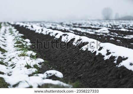 Arable fields under a thin layer of snow. Rural landscape in winter with freezing temperatures, agricultural concept. High quality photo