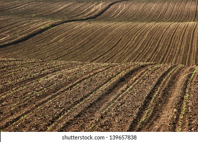 Arable Land