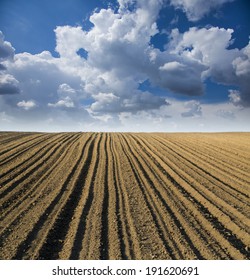 Arable Land Over Blue Sky