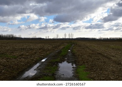 arable land with trees in distance in dramatic grey sky background - nature landscape photographed in rainy day in south slovakia, europe