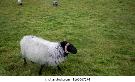 Aran Islands High Res Stock Images Shutterstock