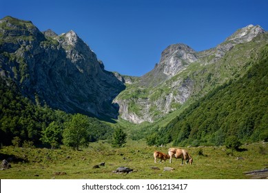 Aran Valley; Artiga De Lin Landscape