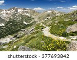 Arapaho Glacier Trail Crosses the Continental Divide High in the Colorado Rocky Mountains with Summer Wildflowers Blooming on the Tundra