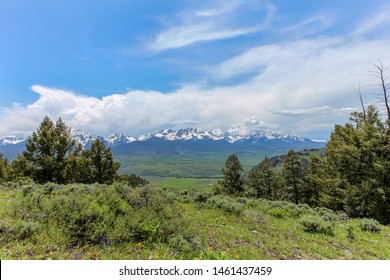 Arapaho And Roosevelt National Forest