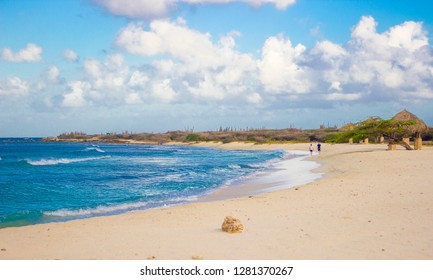 Arashi Beach Aruba 3