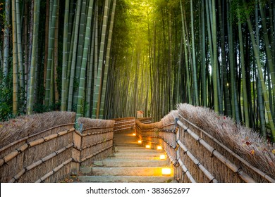 Arashiyama Bamboo Forest In  Kyoto Japan