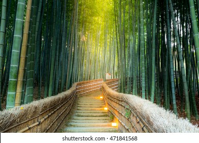 Arashiyama Bamboo Forest In  Kyoto Japan