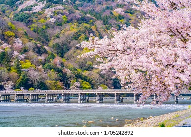 渡月橋 の画像 写真素材 ベクター画像 Shutterstock