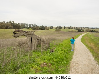 Arastradero Preserve is a nature preserve that protects most of the Arastradero Creek watershed.