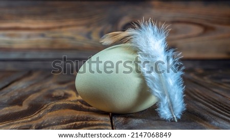 Araucana egg with feather on wooden background. Light blue egg from Araucana chicken. Easter Festival concepts. Easter egg. Blue araucana chicken egg very nice colors. Space for text.