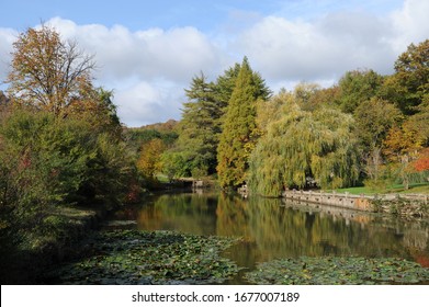 Atatürk Arboretum Is An Arboretum 