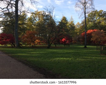 Arboretum In  Autumn West Country Uk