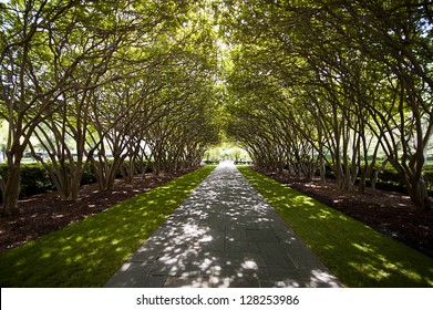 Arboretum Walkway