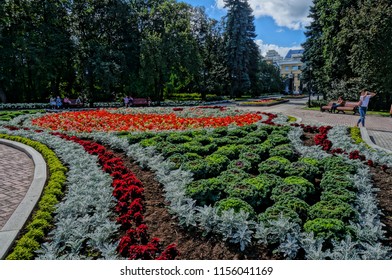 Arboretum. Yekaterinburg Park. August 2018