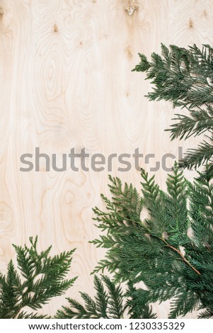 Arboriate branches framer the lower corner of plywood