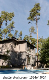 Arborist Cuts A Dry, Diseased Tree On A Site Near The House. Security.