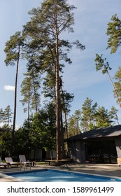 Arborist Cuts A Dry, Diseased Tree On A Site Near The House. Security.