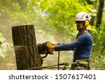 An arborist cutting a tree with a chainsaw