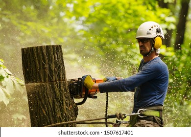 An Arborist Cutting A Tree With A Chainsaw