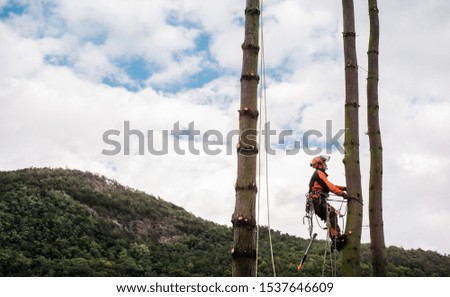 Similar – Arborist with tools in the wind