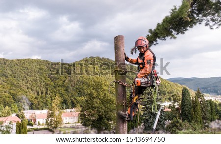 Similar – Arborist with tools in the wind