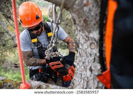 Arborist using chainsaw while hanging from rope accessing a tree