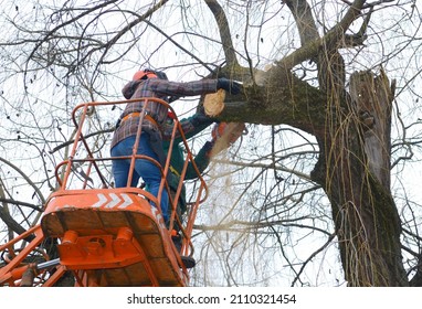 Arborists cut branches of a tree with chainsaw using truck-mounted lift. Kiev, Ukraine. - Powered by Shutterstock