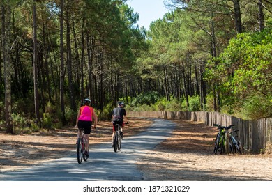 Arcachon Bay, France. Bike path in the Gascony forest near the dune of Pilat in La Teste