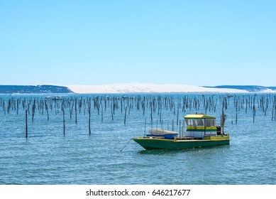 ARCACHON BAY (France) Dune Of Pilat