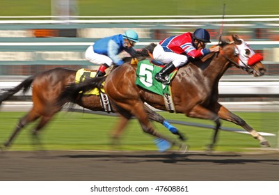 ARCADIA, CA - 25 FEB: Willie The Fox, Under Jockey Silvio Amador, Wins A Claiming Race At Santa Anita Park On Feb 25, 2010, In Arcadia, CA.