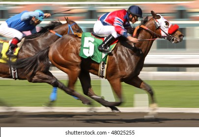 ARCADIA, CA - 25 FEB: Willie The Fox, Under Jockey Silvio Amador, Wins A Claiming Race At Santa Anita Park On Feb 25, 2010, In Arcadia, CA.