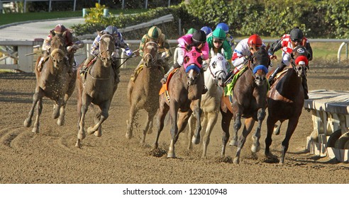 ARCADIA, CA - DEC 26: Jockey Rafael Bejarano (red Cap) Guides 