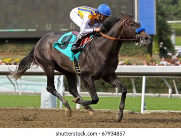 ARCADIA, CA - DEC 26: Jockey Rafael Bejarano Guides The Factor, A 2-year-old Colt, To His First Win At Santa Anita Park On Dec 26, 2010 In Arcadia, CA.