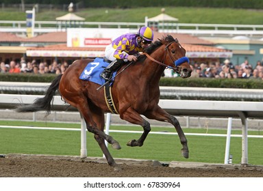 ARCADIA, CA - DEC 26: Switch, Under Jockey Joel Rosario, Wins The Grade I La Brea Stakes At Santa Anita Park On Dec 26, 2010 In Arcadia, CA.