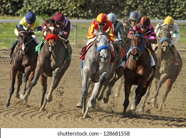 ARCADIA, CA - FEB 16: Jockey Rafael Bejarano Pilots 