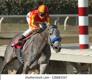 ARCADIA, CA - FEB 16: Jockey Rafael Bejarano Pilots 