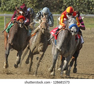 ARCADIA, CA - FEB 16: Jockey Rafael Bejarano Pilots 