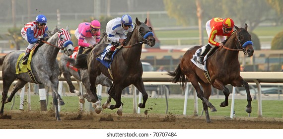 ARCADIA, CA - FEB 5: Indian Firewater Is The Early Leader In The Strub Stakes At Santa Anita Park On Feb 5, 2011 In Arcadia, CA. Eventual Winner Is Twirling Candy (blue Saddle Cloth).