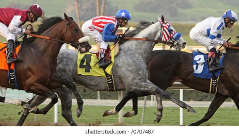 ARCADIA, CA - FEB 5: Tweebster (Rafael Bejarano Up) Trails Twirling Candy (#3, Joel Rosario Up) To Finish Second In The Strub Stakes At Santa Anita Park On Feb 5, 2011 In Arcadia, CA.