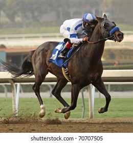 ARCADIA, CA - FEB 5: Twirling Candy (Joel Rosario Up) Wins The 2011 Strub Stakes At Santa Anita Park On Feb 5, 2011 In Arcadia, CA.