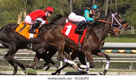 ARCADIA, CA - JAN 23: Joel Rosario Guides Victory Dancer (#1) To Victory In The First Race At Santa Anita Park On Jan 23, 2010 In Arcadia, CA.