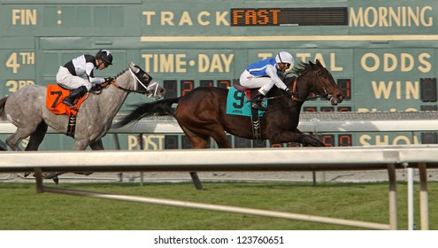 ARCADIA, CA - JAN 5: Jockey Rafael Bejarano Pilots 