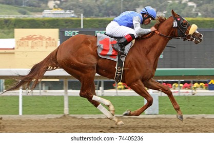 ARCADIA, CA - MAR 12:  Top Jockey Joel Rosario Competes In A Maiden Race Aboard Titian At Santa Anita Park On Mar 12, 2011 In Arcadia, CA.