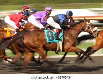 ARCADIA, CA - MAR 4: A Tight Field Of Competitors Surge Down The Homestretch In A Maiden Race At Santa Anita Park On Mar 4, 2010 In Arcadia, CA.