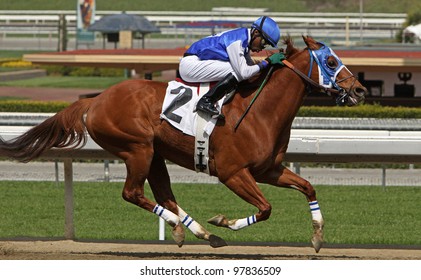 ARCADIA, CA - MARCH 15: Jockey Kevin Krigger Pilots 