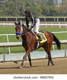 ARCADIA, CA - MARCH 15: Rafael Bejarano And 