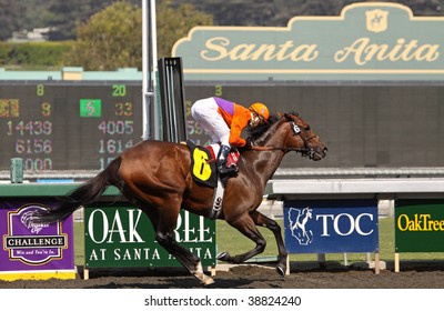 ARCADIA, CA - OCT 10: New Bay, Under Jockey Rafael Bejarano, Wins An Allowance Race At Santa Anita Park October 10, 2009 Arcadia, CA.