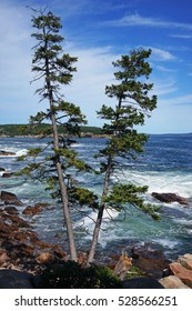 Arcadia National Park, Maine, USA