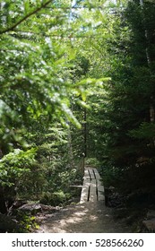 Arcadia National Park, Maine, USA